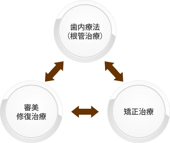 歯内療法と審美・修復治療と矯正治療の連携